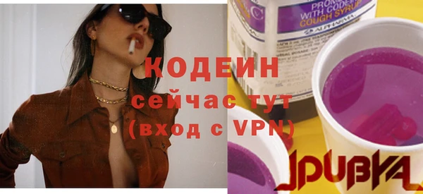 гашик Краснослободск